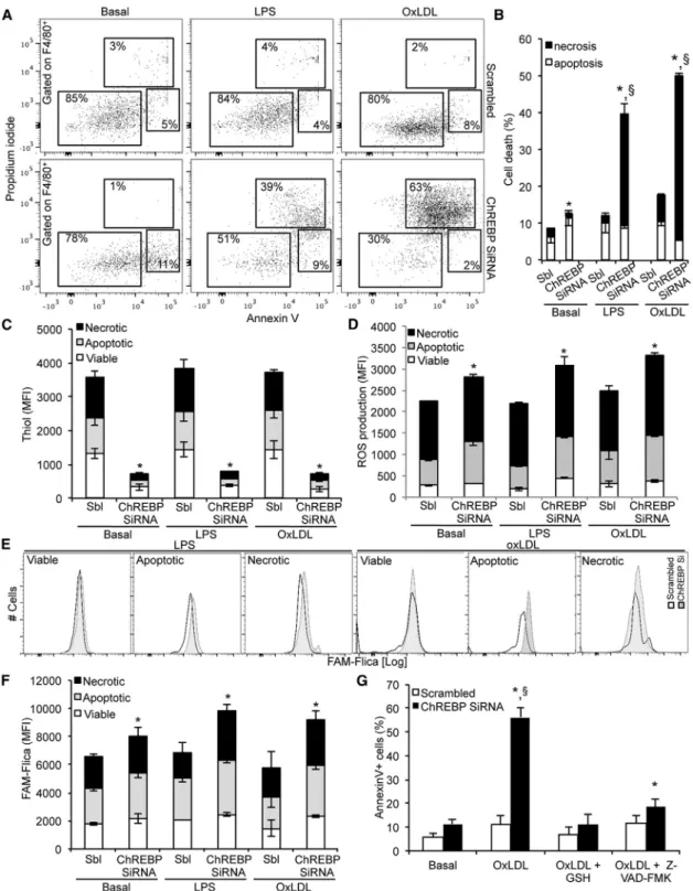 Figure 4. Enhanced Susceptibility to Cell Death in Chrebp -Deficient Macrophages Macrophages