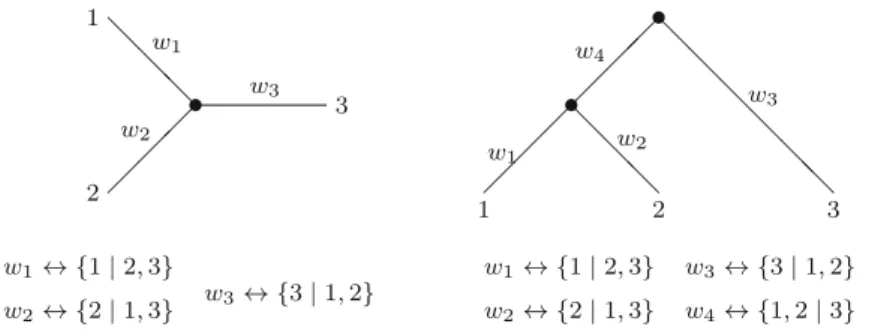 Fig. 1 Unrooted and rooted tree with associated weights and splits