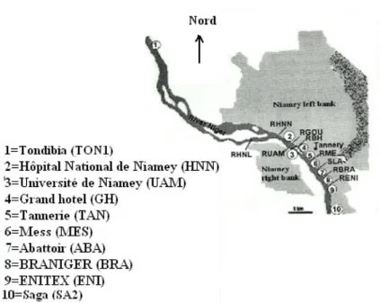 Fig. 1. Carte de localisation des sites d’échantillonnage le long du fleuve Niger à Niamey (zone en gris).
