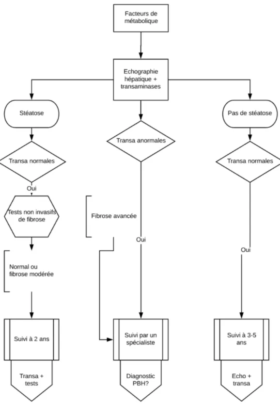 Figure  3 :  Algorithme  décisionnel  de  prise  en  charge  et  surveillance  de  la  stéatose hépatique 