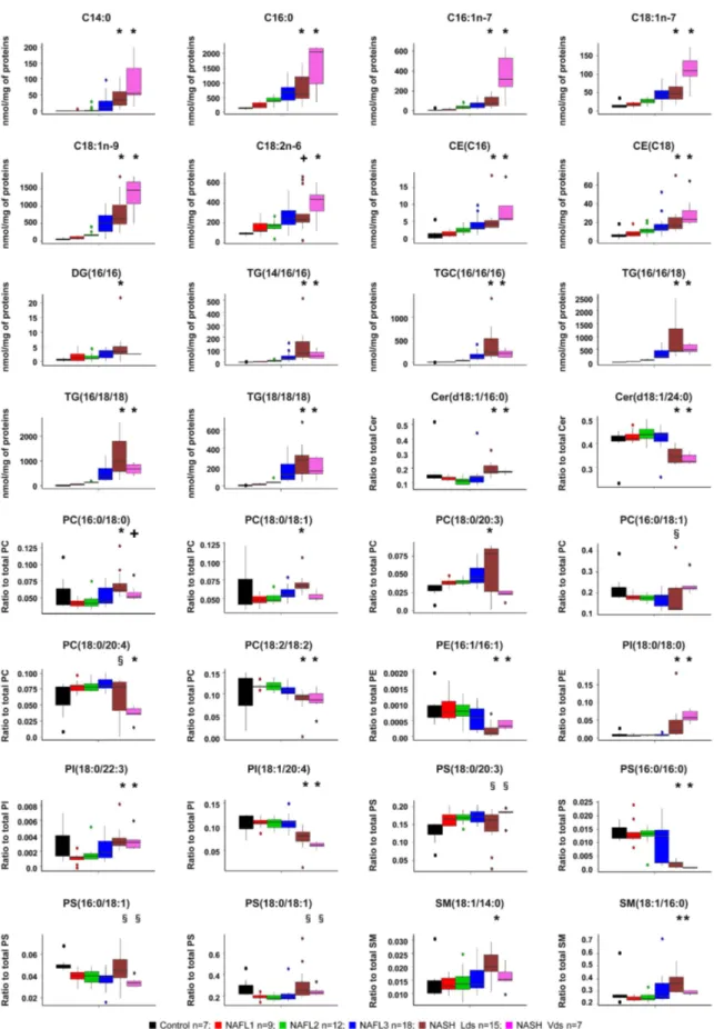 Figure 2.  Hepatic levels of the 32 lipids discriminating NASH group based on random forests analysis