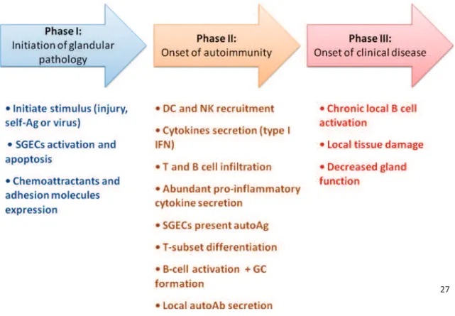 Figure 2. A proposed scenario for the pathogenesis of pSS.   