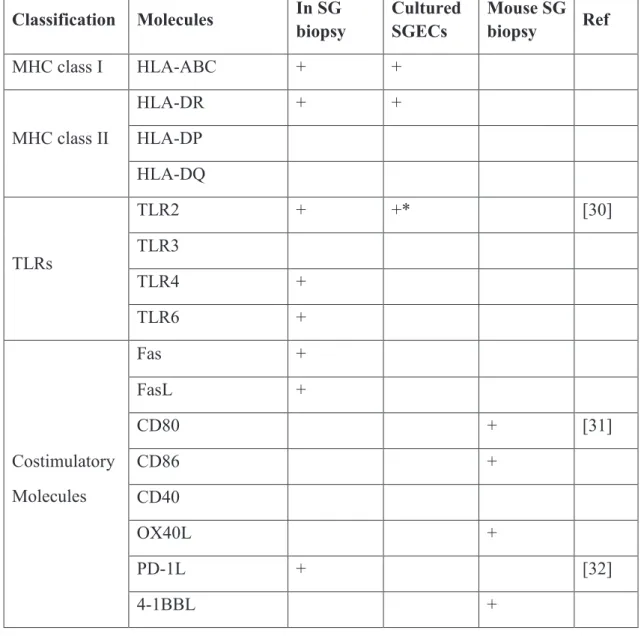 Table  III:  Molecules  expressed  by  salivary  gland  epithelial  cells  in  Sjögren’s patients and mice models of SS