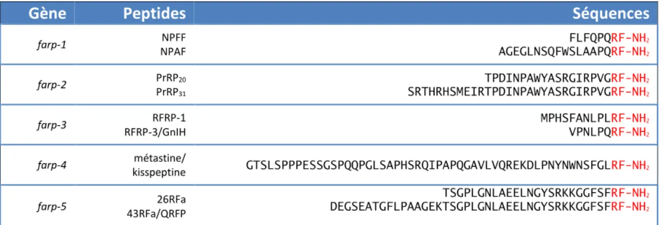 Tableau 1 : Gènes et séquences des peptides RFamide connus chez l’homme 