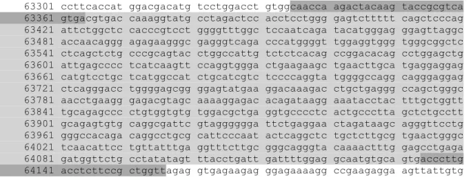 Figure 15 : Séquences nucléotidiques d’intérêt provenant du gène complet du récepteur de                         la vitamine D (VDR) Humain, NCBI Reference Sequence NG_008731.1 