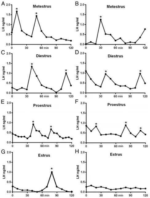 Figure 6 : Profils représentatifs de la sécrétion de LH chez la souris femelle C57BL/6J à différents stades  du cycle estrien