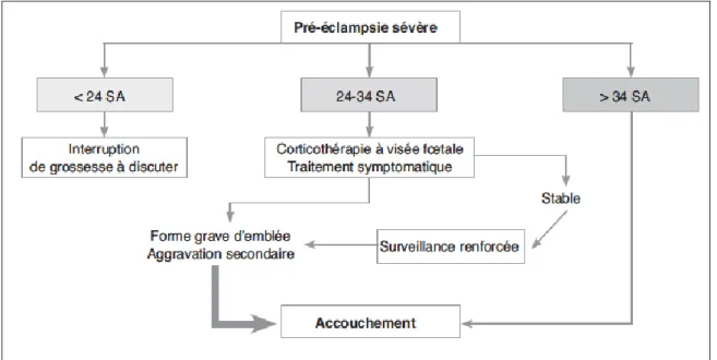 Figure  2 :  Prise  en  charge  de  la  pré-éclampsie  sévère  selon  le  terme  de  la  grossesse  (HTA  et  grossesse  :  consensus d'experts de la Société française d'hypertension artérielle)