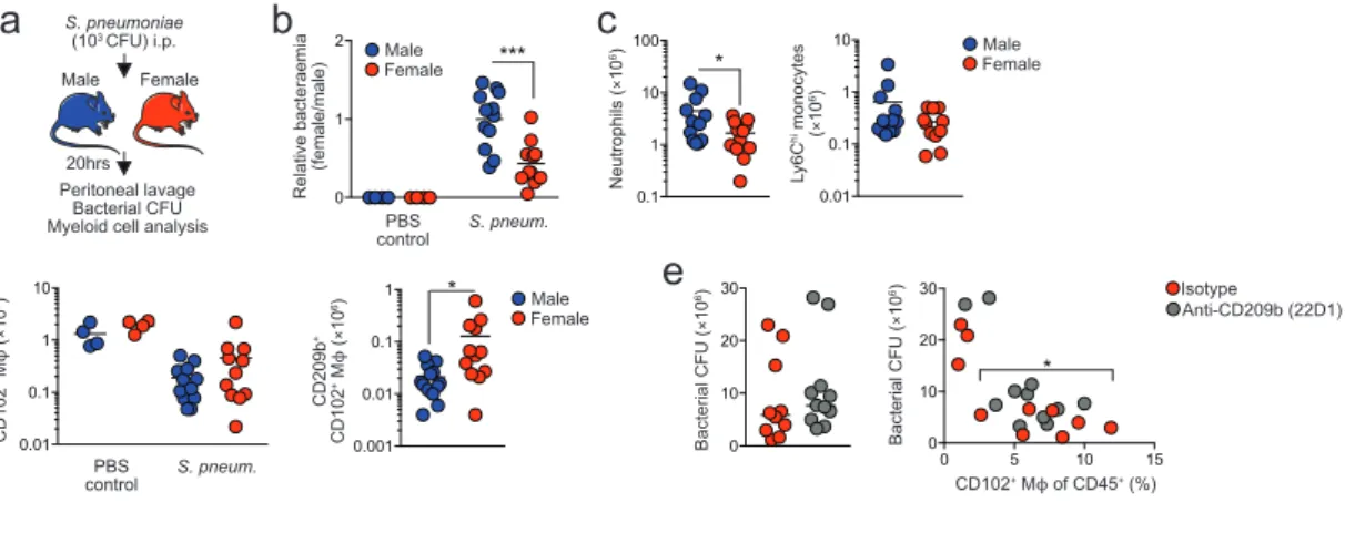 Figure 7: Differential CD209b expression confers an advantage on female macrophages in the  3 