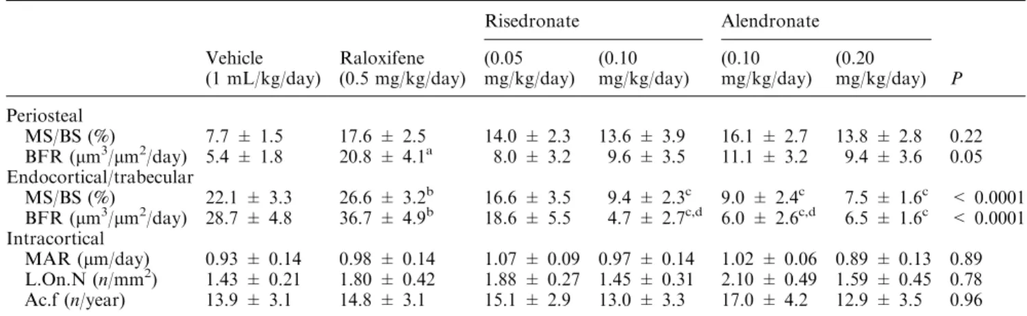 Fig. 2. Envelope-speciﬁc eﬀects of antiremodeling agents on MAR of dog ribs following 1-year treatment with clinically relevant doses of raloxifene, alendronate, or risedronate