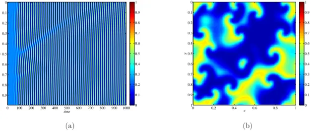 Figure 2: Deterministic patterns. Panel (a): numerical integration of 1D system, we report the time evolution of the concentrations of species A, being the ones for B and C similar because of the cyclic dominance