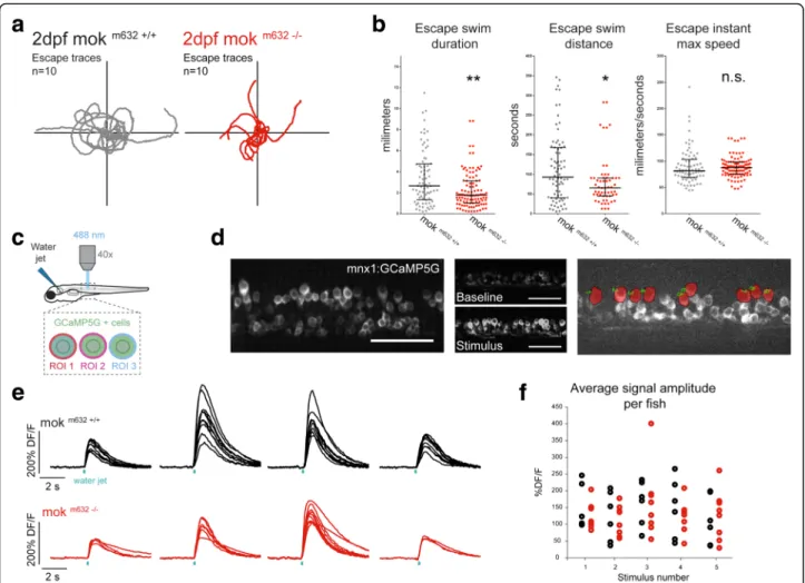 Fig. 5 NMJ dysfunction leads to behavioral deficits. a NMJ functional defects lead to impaired locomotor behavior in 2dpf embryos as determined by touch-evoked escape response assay