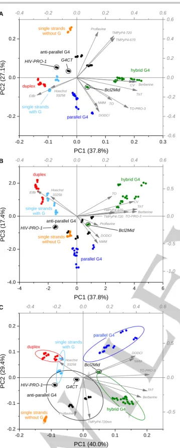 Figure 4. Schematic representation of G4 structures adopted by Bcl2Mid (PDB: 