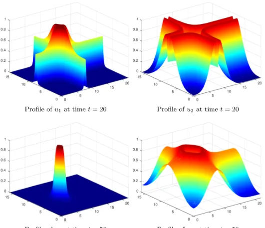 Figure 6: Concentration configurations for various times. The concentration of the third specie can be deduced thanks to u 1 + u 2 + u 3 = 1