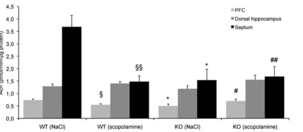 Figure 4. The effects of scopolamine on the enzymatic activity of ChAT were suppressed in the absence of 5-HTR 4 