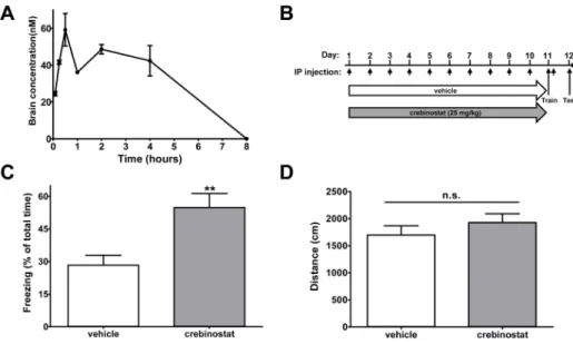 Figure 3. Crebinostat enhances memory of contextual fear conditioning in mice (A) Concentration of crebinostat in the brain following IP injection
