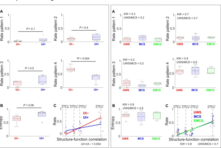 Fig. 3. The coordination patterns generalize to other states of preserved and diminished consciousness