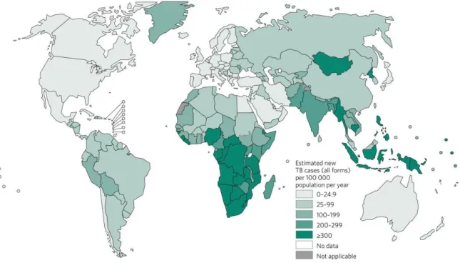 Figure  5 :  Estimation  de  l’incidence  de  la  tuberculose  à  l’échelle  mondiale  en  2015
