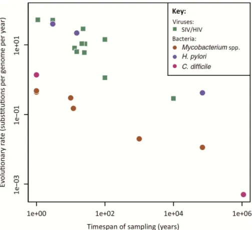 FIGURE 6 Consistent with a general pattern for measurably evolving populations, the evolutionary rates of microbial pathogens decrease as a function of the time span over which they are estimated