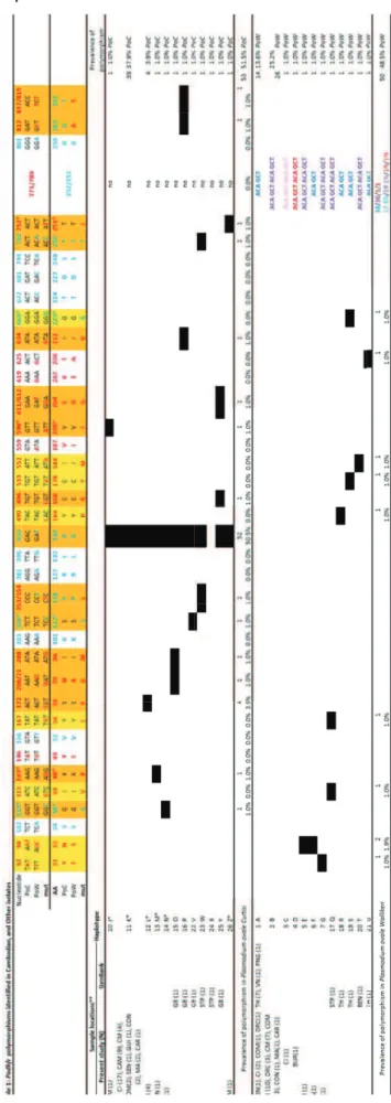 Table 1. Podh hfr polymorp phisms identiffied in Cambo odian and other isolates