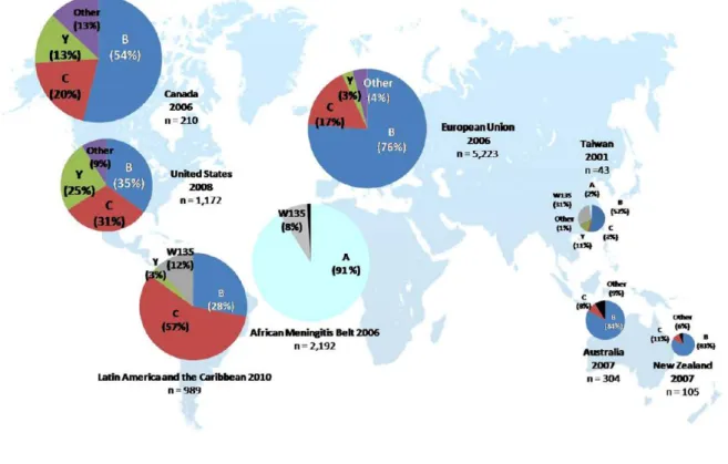 Figure 2 :  Répartition des infections invasives à méningocoque par sérogroupe et par  région dans le monde, 2001-2010