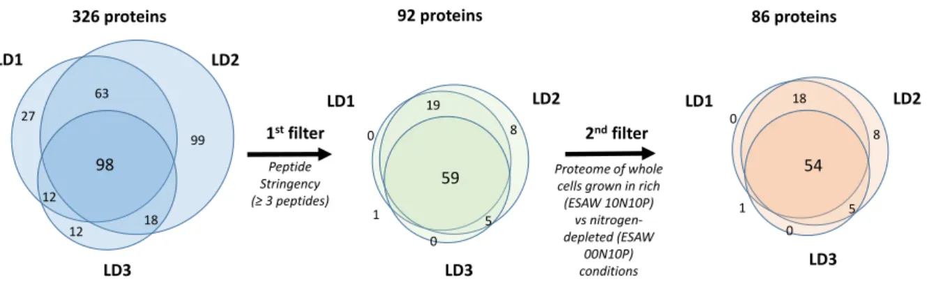 Figure 6: Characterization of P. tricornutum LD core proteome. Proteomic analysis led to the identification of  326 proteins from three independent biological replicates of LD fractions from P