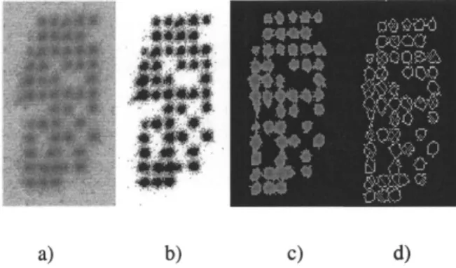 Fig. 9.  Visualization of the extracted motion by using  deformation grids. Reproduced from [27] with the permission of  Springer-Verlag, New York