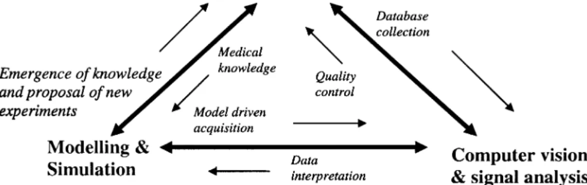 Fig. 2.  Interrelations depicted by this triangle point out the diverse facets to deal with patient  diagnosis and therapy, from medical knowledge, quality control up to database collection