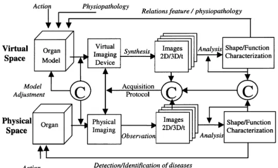 Fig. 3.  Generic model-based approach for medical image analysis. The decomposition into  virtual/physical spaces and object/sensor/image/decision spaces allows us to precisely identify the  several intervening components in place and to define the relevan