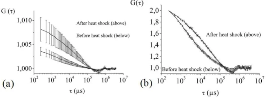 Figure 7. Autocorrelation curves obtained before and after heat shocking, by averaging over 26 measurements; (a) without any  normalization of the amplitude, thus exemplifying the mean value and dispersion of the number of molecules; (b), with  normalizati