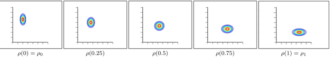 Fig 1 . Plot of the isolevels of the density ρ(t) along the optimal path between two densities of different mass.