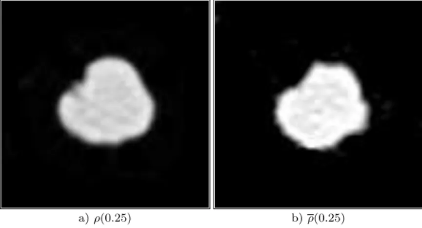 Fig 8 . Comparison between the interpolation at time t = 0.5, a), obtained by solving optimal transport between images (1 − 5) and the original image in grey scale b)