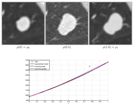 Fig 13 . Comparison between the interpolation at time t = 0.8, a), obtained by solving optimal transport between images (1 − 3) and the original image in grey scale b)