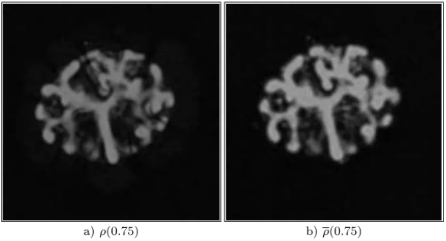 Fig 18 . Comparison between the interpolation at time t = 0.75, a), obtained by solving optimal transport between images (1 − 5) and the original image in grey scale b)