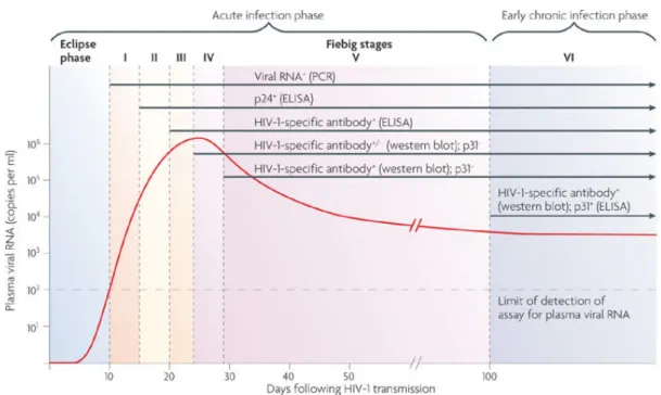 Figure 4: Les phases cliniques de la primo-infection du VIH-1 (Nature Reviews, 2011). 