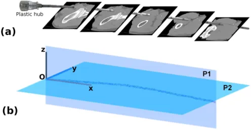 Figure 2: a) Needle segmentation from CT images. b) Visualization of the 2 orthogonal planes P1 and P 2, which represent the plane of greatest deflection and the plane of the secondary curves, respectively.