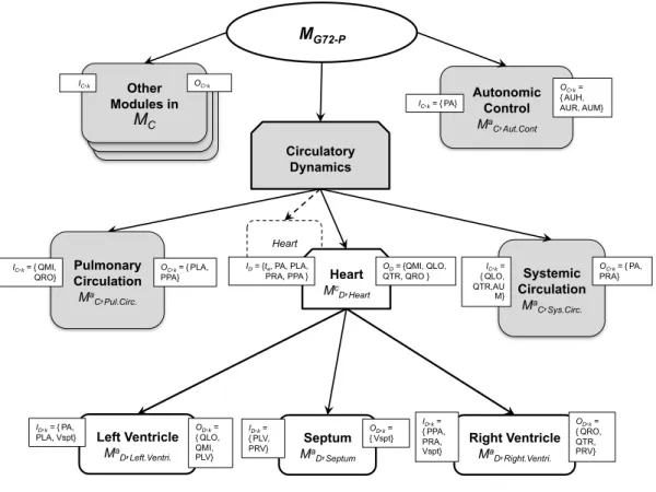 Figure 4. Integration of a pulsatile ventricular model into the original M G72 . Gray boxes represent models in  M C , boxes with segmented lines represent models in M R , boxes with continuous lines represent models in 