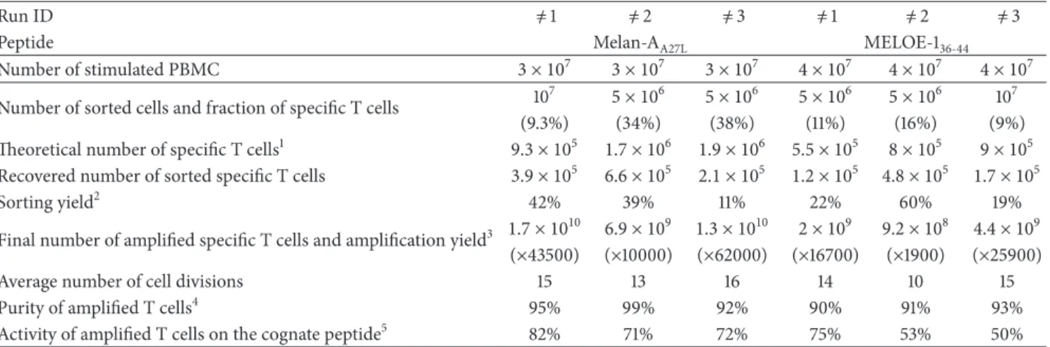 Table 2: Validation runs for the selection and amplification of Melan-A- and MELOE-1- specific T lymphocytes from HLA-A2 melanoma patient-derived PBMC.