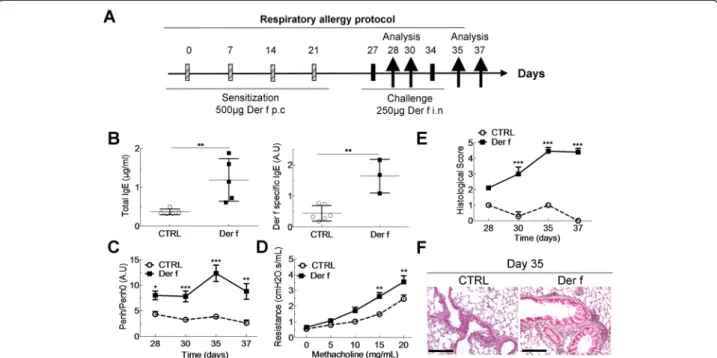 Figure 2 Mouse model of Der f-induced asthma defined by hyperresponsiveness and pulmonary infiltrate