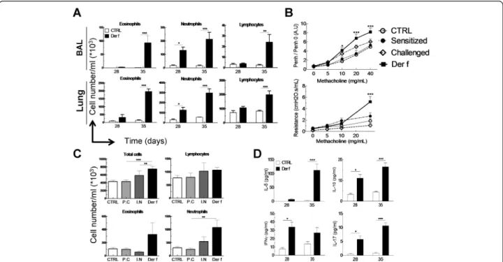 Figure 3 Influence of exacerbation on lung and BAL inflammation in Der f-induced asthma model