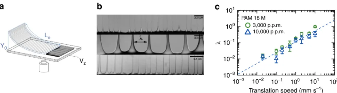 Figure 1 illustrates the patterns obtained with a high-molecular- high-molecular-weight polymer solution in coating experiments using a ﬂexible blade (polyacrylamide (PAM), see Methods and Supplementary Figs 1 and 2)