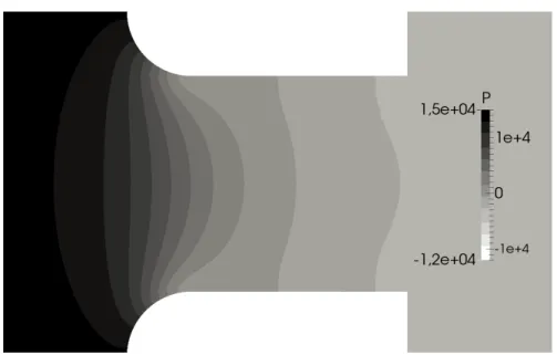 Figure 4.6: Pressure field (Pa) inside the micro-orifice. Pressure is defned up to an arbitray additive constant.