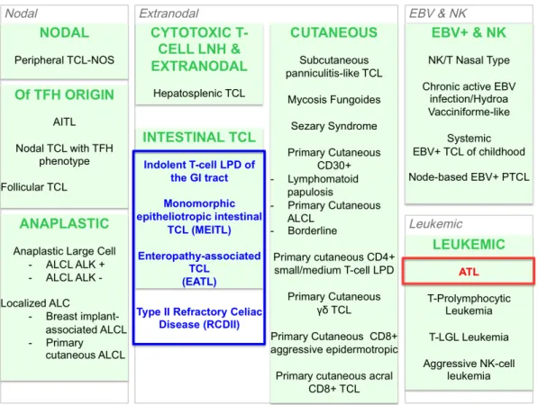 Figure 1 : classification des lymphomes T périphériques (PTCLs).  