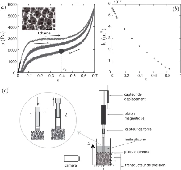 Fig. 1. (a) Comportement m´ecanique en compression des mousses ´etudi´ees (mesur´e dans l’air)