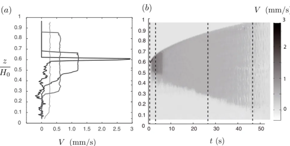 Fig. 3. Poro´elasticit´e en grande d´eformation (# i = 40 %, H 0 = 8 cm, η = 1,0 Pa.s)
