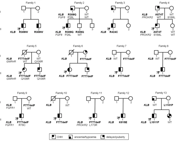 Figure 3. Pedigrees of CHH probands harboring KLB mutations.