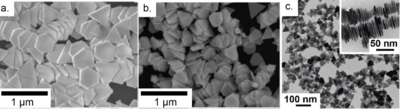 Figure 4: a. and b. Field Emission Scanning Electron Microscopy images of Au nanoplates with  edge lengths of varying size