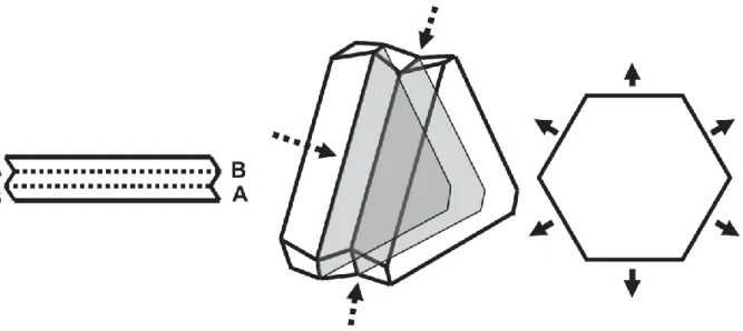Figure 14: Growth model for a doubly-twinned nanoparticle. All six sides now exhibit A-type  concave  facets  (dashed  arrows)  which  causes  rapid  growth  in  all  the  six  dimensions  (solid  arrows)