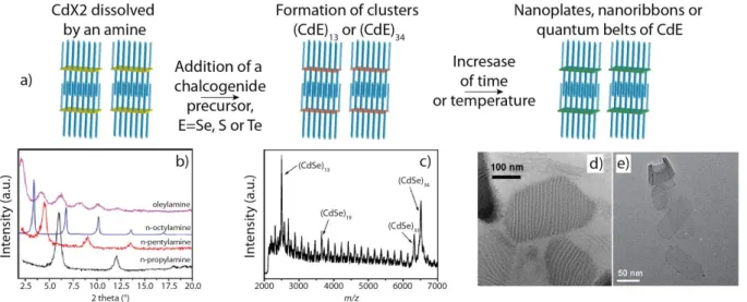 Figure  20:  a)  Scheme  of  the  three  steps  synthesis  in  wurtzite  2D  nanocrystals  starting  with  dissolution  of  a  salt  in  amines,  then  the  introduction  of  the  chalcogenide  precursor,  finally  leading to 2D nanocrystals