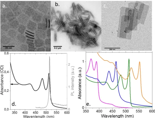Figure 21: TEM Images of CdSe NPLs with small (a) and large lateral extension (b). The latter  rolled on themselves