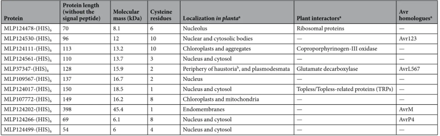 Table 1.  Features of the eleven M. larici-populina candidate effector proteins investigated in this study